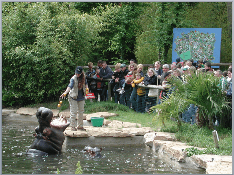 photo groupe visite zoo avec plan d'eau et hippo en premier plan